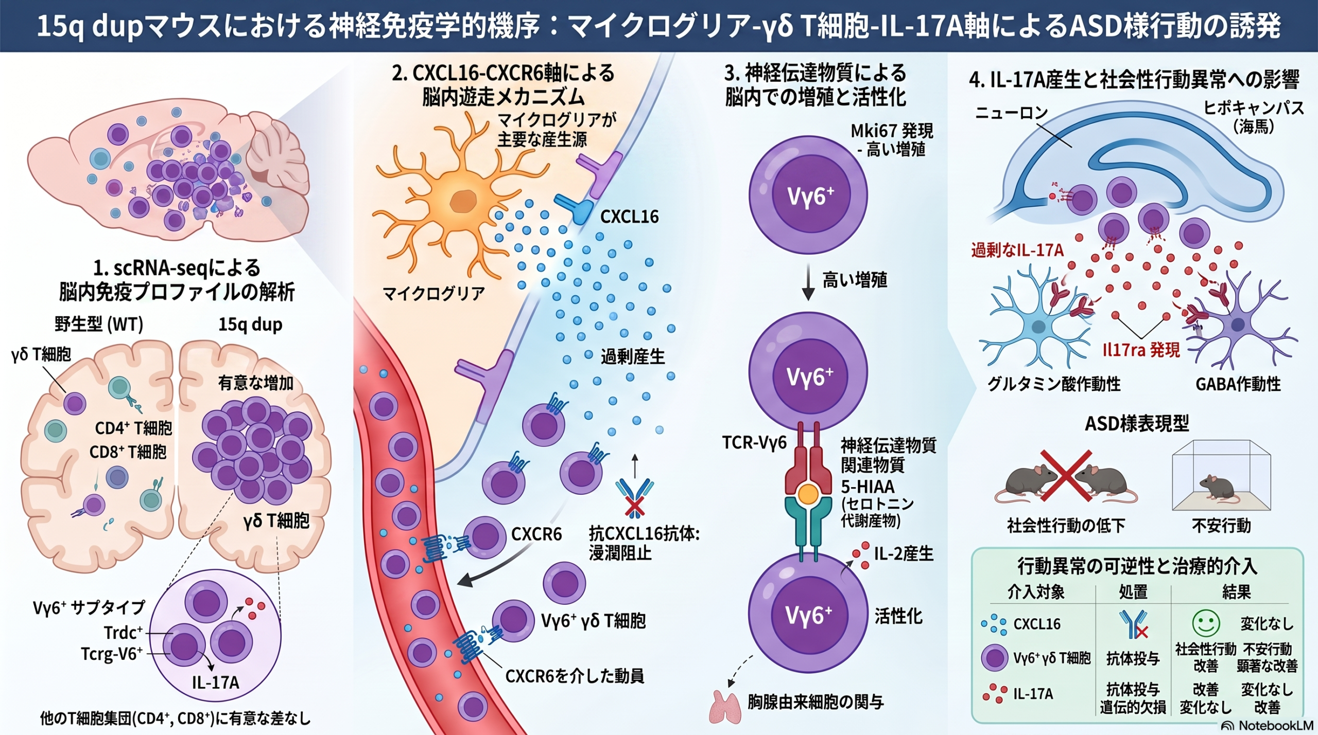 CXCL16を介したγδ T細胞の脳へのリクルートはマウスの社会性を低下